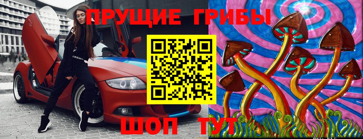 Галлюциногенные грибы Cubensis Балтийск